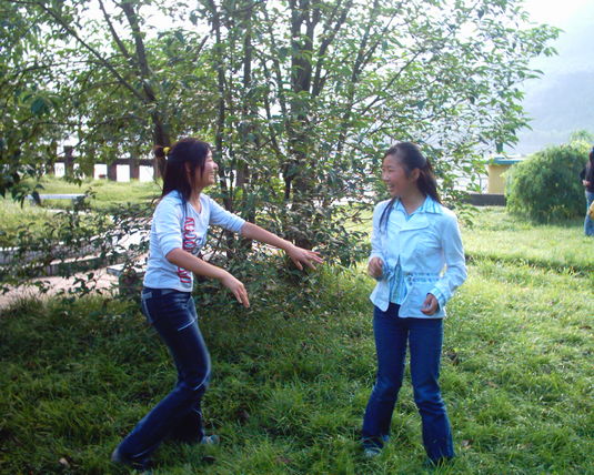 2006  (107)